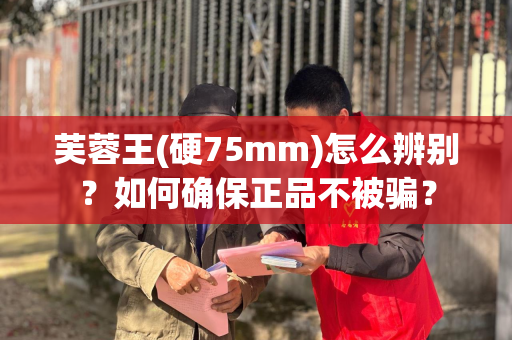 芙蓉王(硬75mm)怎么辨别？如何确保正品不被骗？
